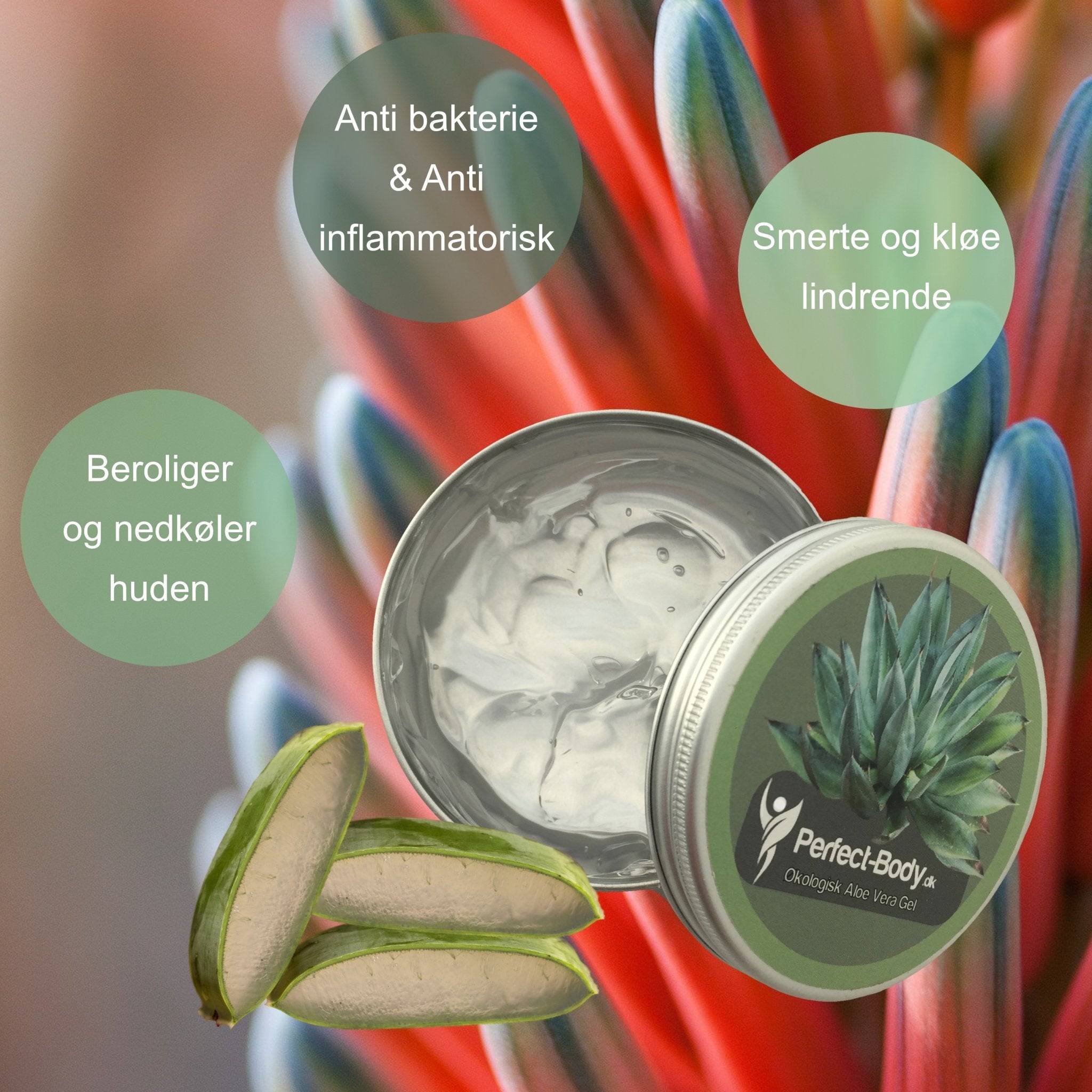 Perfect-Body Hudpleje - Økologisk Aloe Vera Gel - beroligende - ml – Perfect-Body.dk